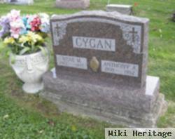 Irene M Cygan