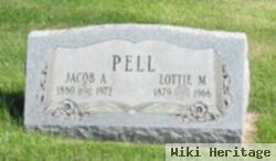 Lottie Morlan Pell