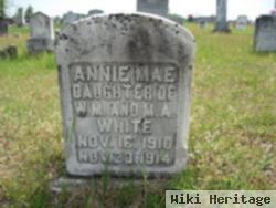 Annie Mae White