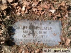 Albert Palmer