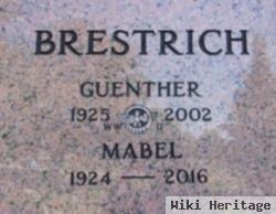 Guenther William Brestrich