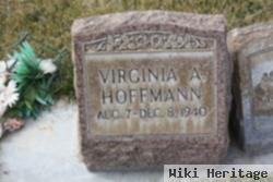 Virginia Ann Hoffmann