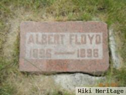 Albert Floyd Morehouse