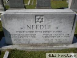 Mollie Feintuch Needle