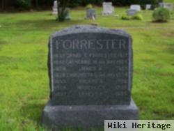 Daniel C Forrester