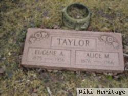 Alice M Taylor