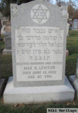 Max S Leviton