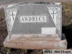 Alfred P Andrecs