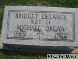 Bridget Delaney Organ