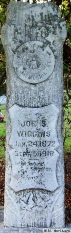 Joe S. Wiggins