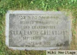 Sara Lande Greenblatt