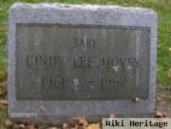 Cindy Lee Hovey