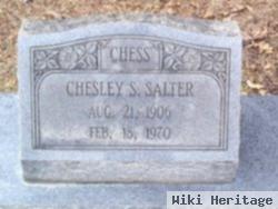 Chesley S. "chess" Salter