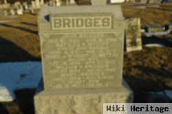 Infant Son Bridges