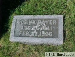 Rosina Treffinger Bayer