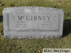 Patrick J. Mcgibney