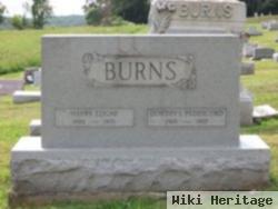 Harry Edgar Burns