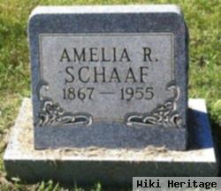 Amelia R Schaaf