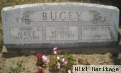 Alice Elizabeth Truex Bucey