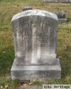 Sarah Ann Walter Moll