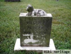 Wilbur F. Burger