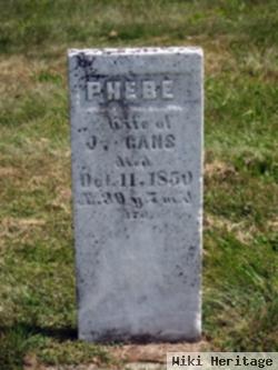 Phebe Rogers Gans