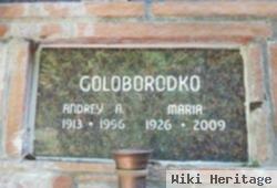 Andrey A. Goloborodko