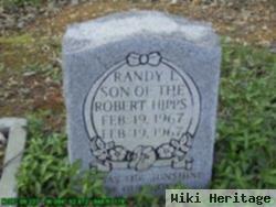 Randy L. Hipps