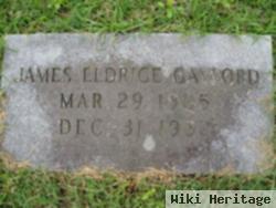 James Eldridge Gaylord