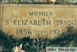 Sarah Elizabeth Chiles Trigg