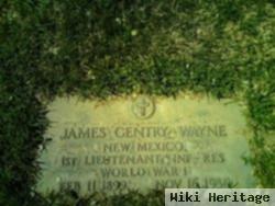 James Gentry Wayne