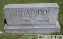 Hannah Shapiro