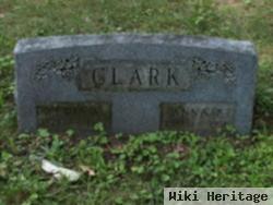 Anna P. Clark