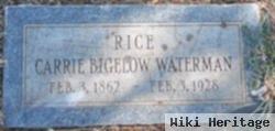 Carrie Bigelow Rice Waterman