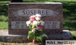 Roy Henry Sosebee