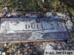 Dalles Hayes Dull