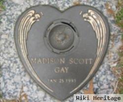 Madison Scott Gay