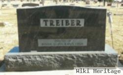 Walter M Treiber