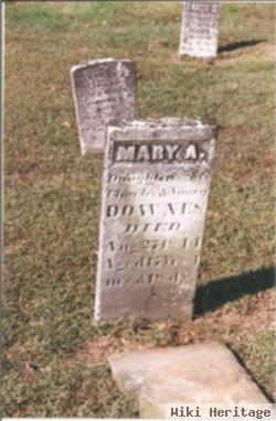 Mary A. Downes