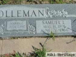 Samuel Lee Holleman