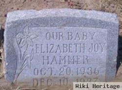 Elizabeth Joy Hammer