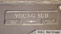 Young Sub Roh