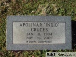 Apolinar "indio" Cruces