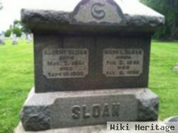 Mary L. Sloan