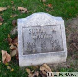 Susan M Groves