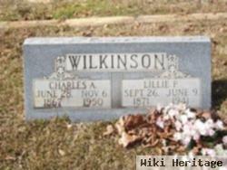 Lillie Priscilla Young Wilkinson