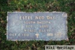 Estel Ned Day