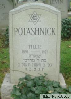 Tillie Goldstein Potashnick