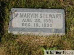 William Marvin Stewart