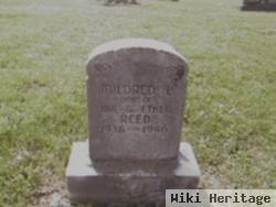 Mildred L Reed